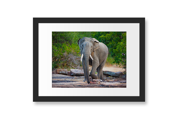 13.3” Pixel Paper Digital Photo Frame